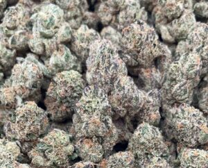 Tres Leches – PK109