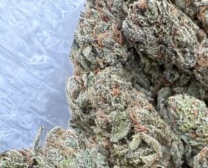 Blue Z Strain #8382
