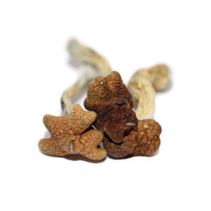 Amazonian  Shrooms