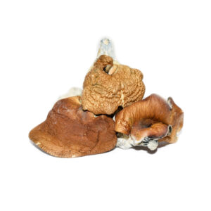 Makilla Gorilla Shrooms