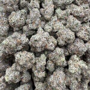 Blue Rhino  LICENSED EXOTIC