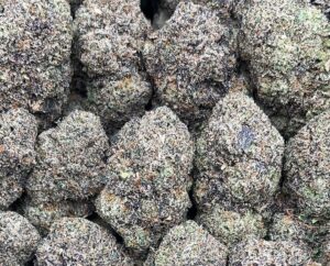 Blue Cheese Strain– PK339