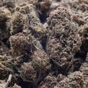 ALIEN OG STRAIN