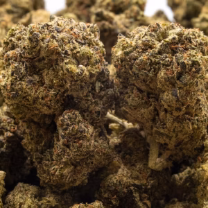 GOLDEN GUSH STRAIN