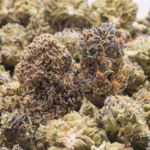 PURPLE AFGHANI STRAIN