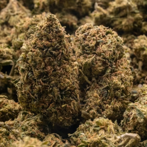ORANGE BANG STRAIN