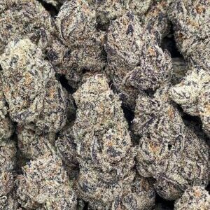 Chimera – PK160