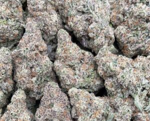Columbian Gold – PK347