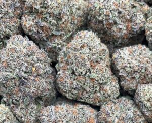 Diamond Dust – PK366