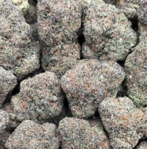 Grape Runtz Strain– PK392