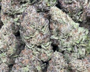 Gummy Bear – PK337