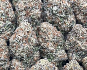 Ice Cream Cake – PK354