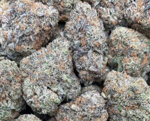 KryptoChronic Strain– PK385