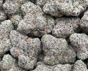 Obama Runtz – PK292